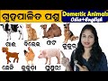 Domestic animals name in englishodia     different types of pet animals in odia