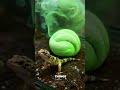 #ai #foryou #fun #funny #gecko #cartoon #comedy #cute #dance #fart #pov #poop