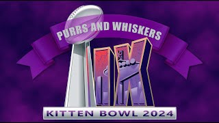 Purrs and Whiskers Kitten Bowl IX (2024)