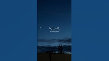 ياسر الدوسري سوره الانبياء قالو من فعل هذا بآلهتنا