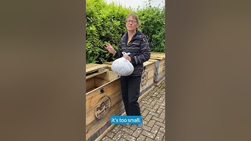 Get composting – top hints and tips for composting in your garden