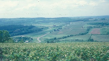 Vineyard Site Selection | Part 1 - The Global View - Grape Video #39