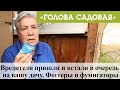 Голова садовая - Вредители пришли и встали в очередь на вашу дачу. Фоггеры и фумигаторы