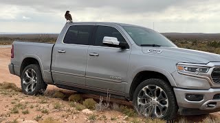 New Mexico Falconry Nov. 2019