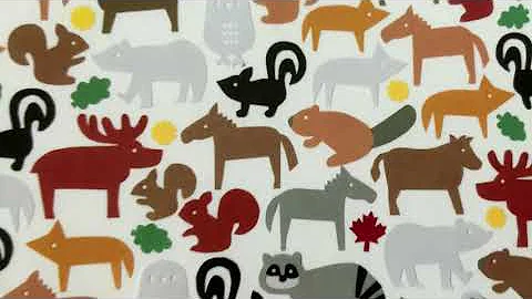 Animals on Turtle Island