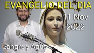 Evangelio Del Dia Hoy  Viernes 11 Noviembre 2022 Sangre y Agua