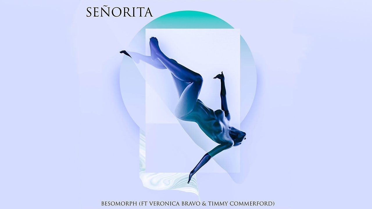 SEÑORITA - Besomorph Ft. Veronica Bravo & Timmy Commerford (SHAWN MENDES & CAMILA CABLELLO REMIX)