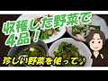 珍しい野菜とブロッコリーで４品のおかず