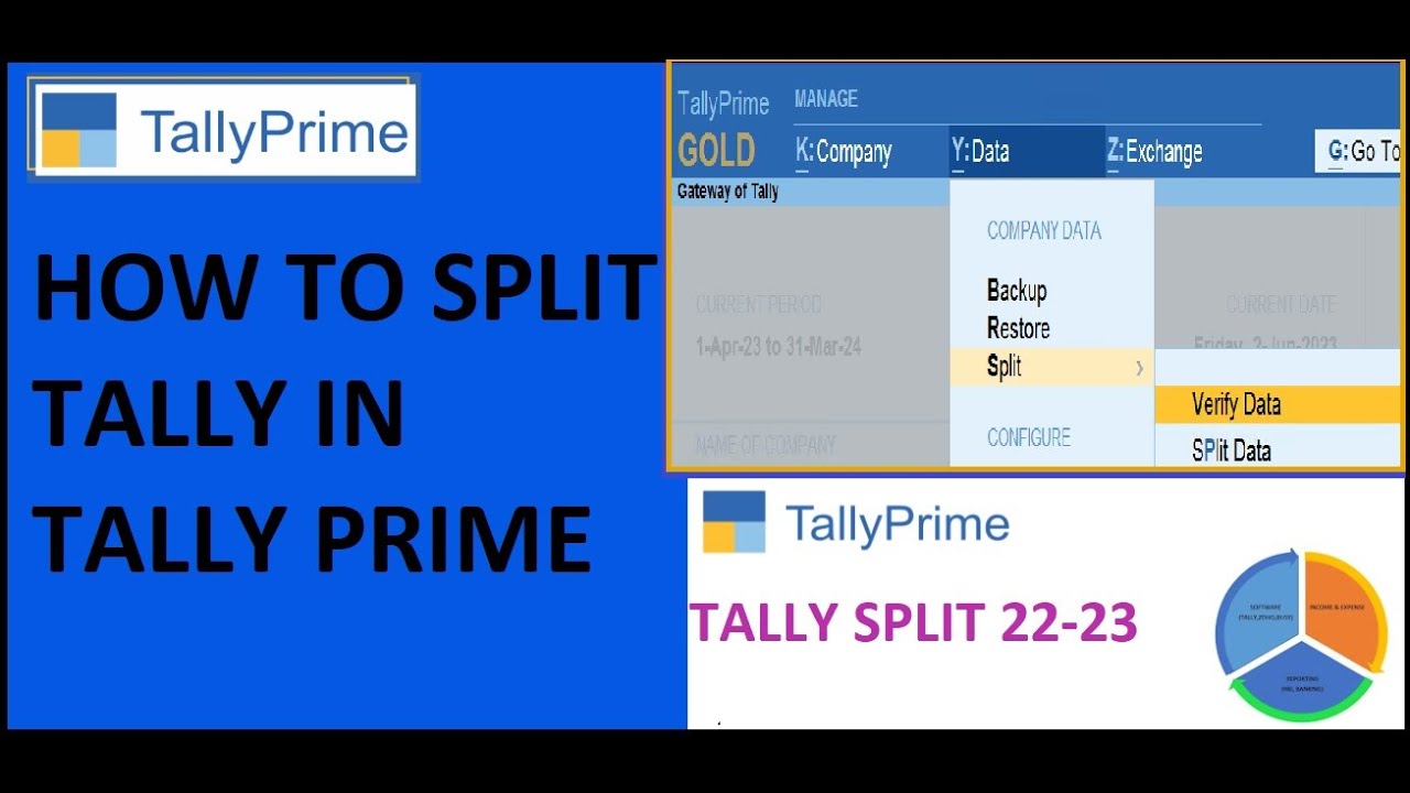 TALLY DATA SPLIT IN TALLY PRIME TALLY DATA VERIFY YouTube