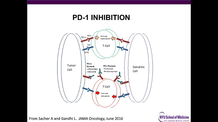 Recent Advances in Immunotherapy Directing Cells to Address Disease   Webinar   Leena Gandhi