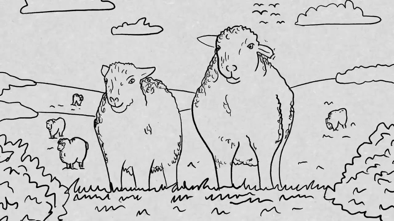 'What The Shepherd Didn't See' a short Film by Rob Humm