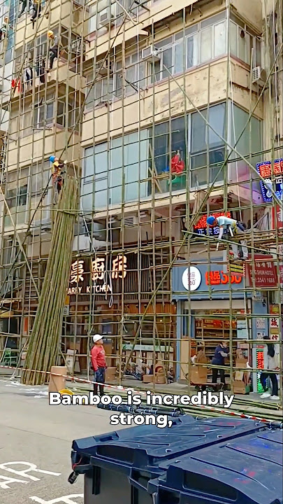 How Bamboo Builds Modern Skyscrapers
