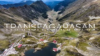 Experience the Transfagarasan Road from a drones perspective - featuring bears!