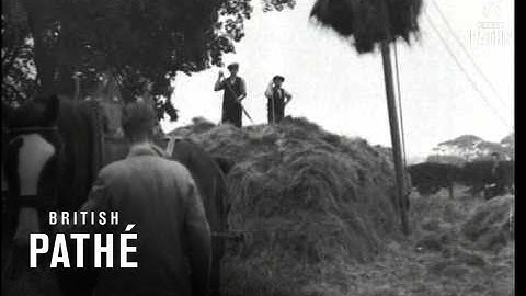 Cinetopicalities In Brief No. 79 (1939)