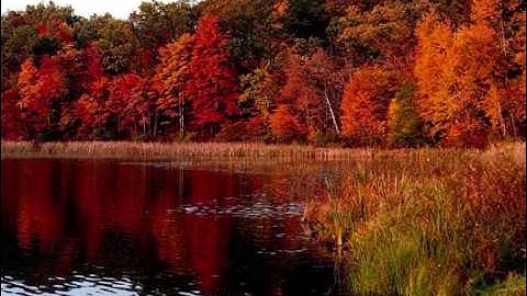 سورة الرحمن - للشيخ خالد أبو شاادي