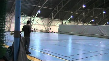 T-Rex 550E Final test and setup flight