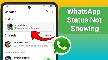 How to Fix WhatsApp Status Not Showing 2025