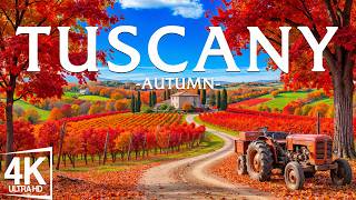 Golden Autumn in Tuscany 4K 🍁 Vibrant Vineyards, Olive Groves & Timeless Italian Landscapes