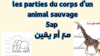 Vocabulaire 5ap خامسة ابتدائي les parties du corps d'un animal sauvage