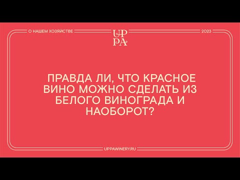 Правда ли, что красное вино можно сделать из белого винограда и наоборот?