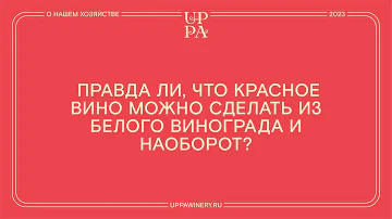 Правда ли, что красное вино можно сделать из белого винограда и наоборот?