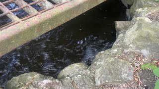 Exacting ASMR water sounds