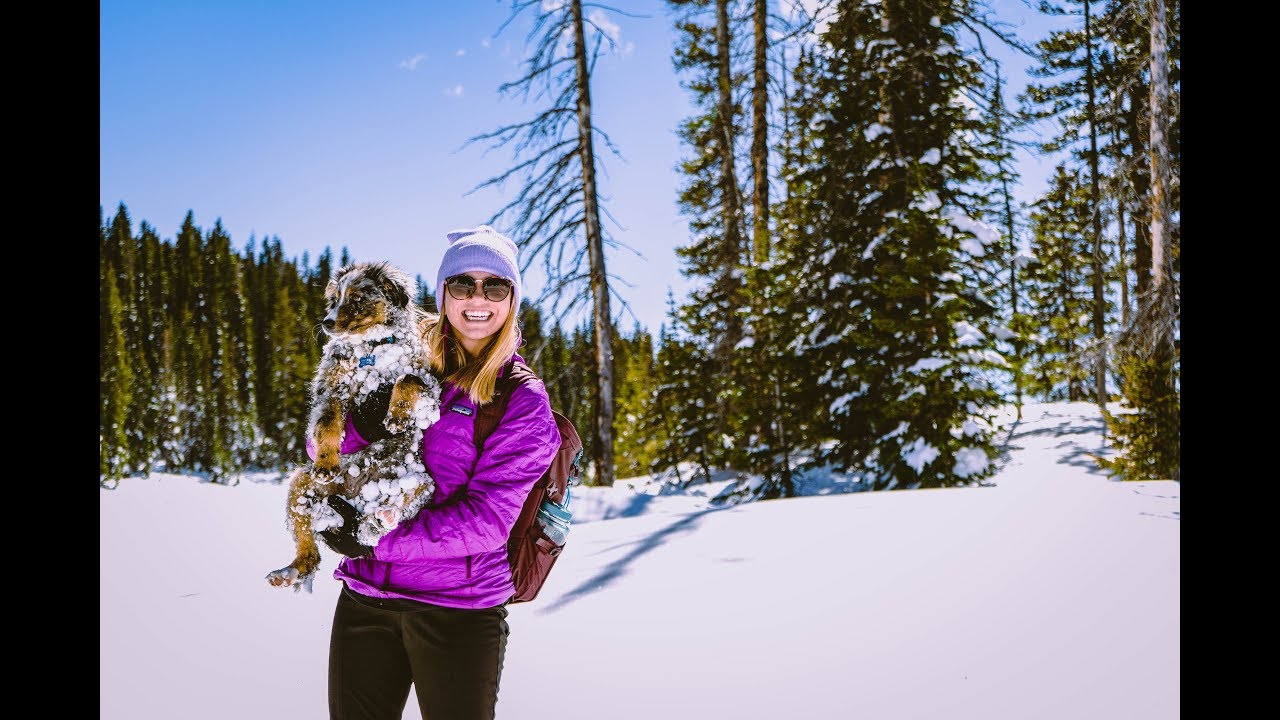 Snowshoeing Island Lake Grand Mesa, Colorado YouTube