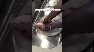Cleaning a Red Snapper