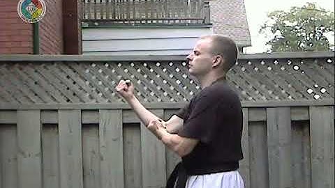 Taekwondo: Hapkido: Foundations: Double forearm block - side view