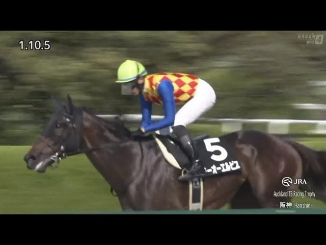 第36回産経大阪杯 トウカイテイオー - YouTube