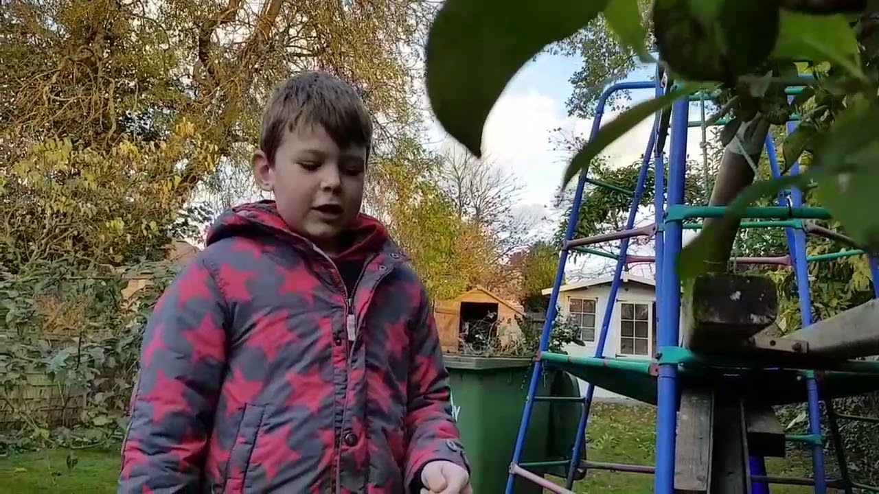 Halloween marble run YouTube