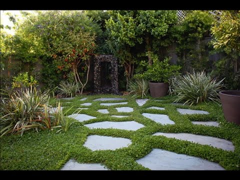 How to Install Front Yard Landscaping . Tree, shrub, mulch, perennials