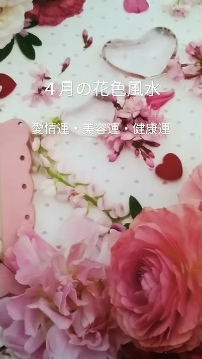 アカデミーテラス根本登茂子の虹色チャンネル Youtube