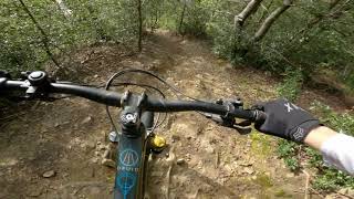 Hometrails on the Druid