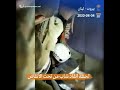 لحظة انقاذ شاب من تحت الأنقاض في بيروت 