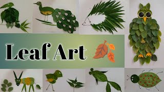 Leaf art| Leaf art ideas for school project| पेड़ के पत्तों से चित्र बनाना सीखें| Easy leaf art 🌿