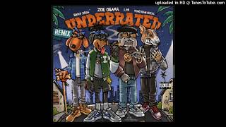 Zoe Osama, Snoop Dogg, E-40, MoneySign Suede - Underrated (Remix)