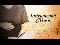 Instrumental music garbh sanskar  dr shri balaji tambe  times music spiritual