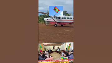 Shorts New Oromo Music New Ethiopian Music Wbo Abo Jaal Marroo Abiy Ahimed Oromotiktok Ethiopian 