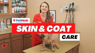 Skin & Coat Care with Dr. Lindsay Butzer