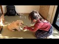 きっとこの出会いが5歳だった娘に母性を目覚めさせたんだ