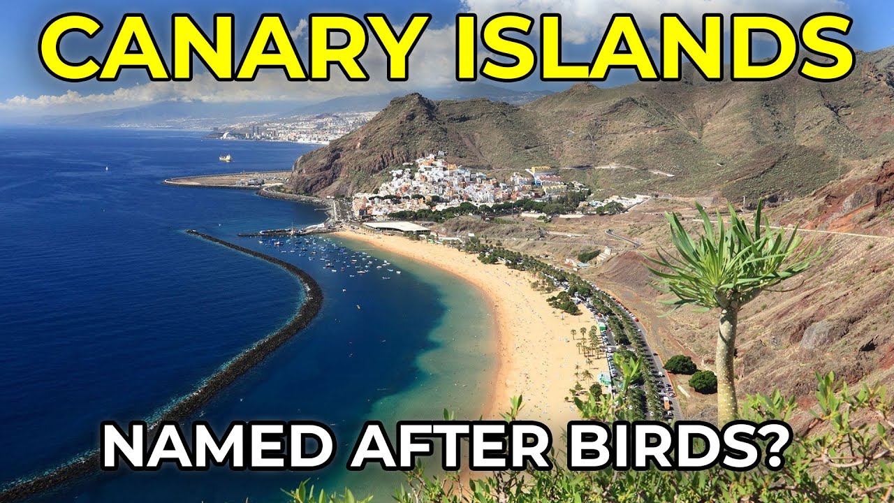 Are The Canary Islands Named After Birds? - YouTube