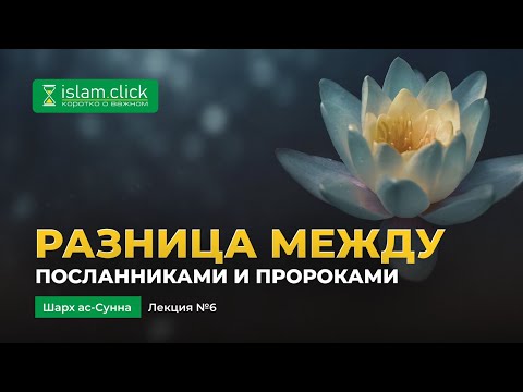 Разница между посланниками и пророками | Абу Яхья Крымский