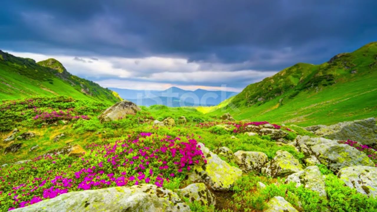 Nature Is Beauti