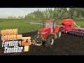 Farming Simulator 19 ч23 - Опробуем новье? Новая сеялка и объединенные поля