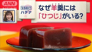 ようかんに隠れたナゾ　“羊羹”の元はヒツジのスープ？【スーパーJチャンネル】(2024年4月19日)