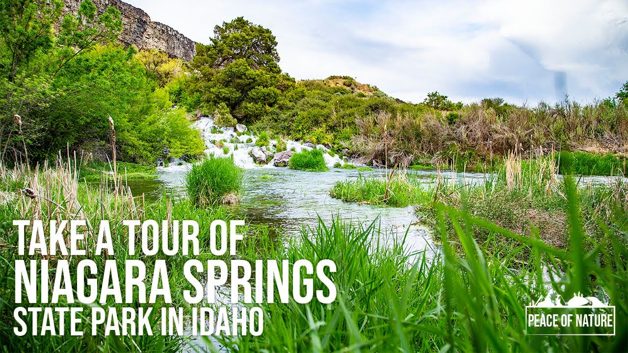 Take an HD Virtual Tour of Niagara Springs State Park in Idaho