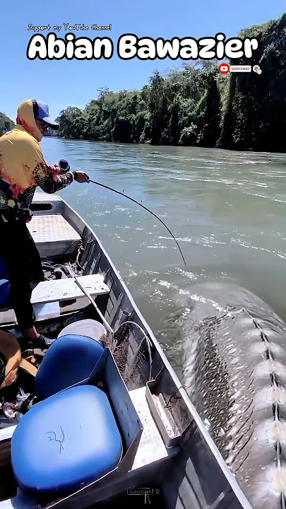 Strike! Mancing di sungai dapat sturgeon monster#short