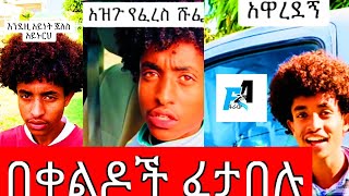 Tik Tok Ethiopian Funny Videos Compilation for abeni |Tik Tok Habesha Funny Vine Videos |#donkey tub