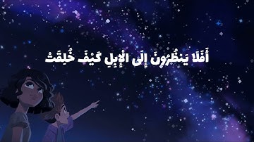(أَفَلا يَنْظُرُونَ إِلَى الإِبِلِ كَيْفَ خُلِقَتْ) القارئ الشيخ محمود الشحات أنور 🌹